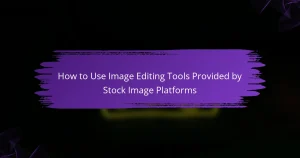 How to Use Image Editing Tools Provided by Stock Image Platforms