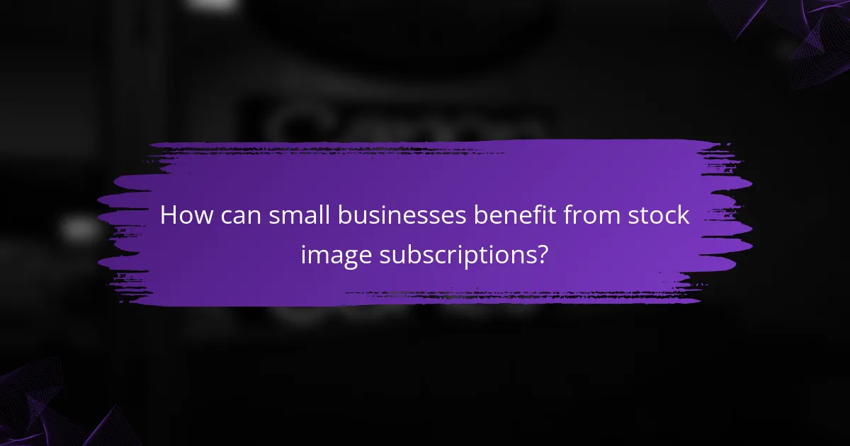 How can small businesses benefit from stock image subscriptions?