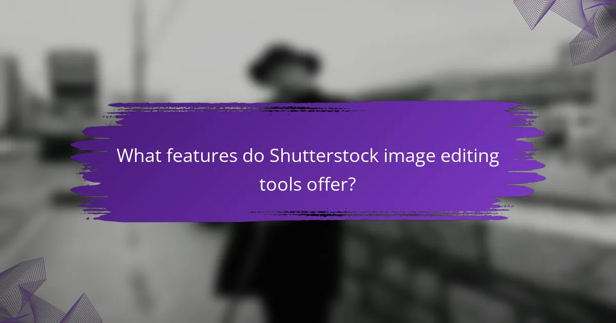 What features do Shutterstock image editing tools offer?